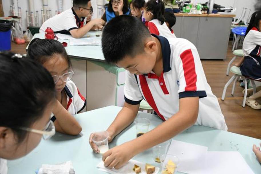 同学们进行淀粉检测与水果电池实验1