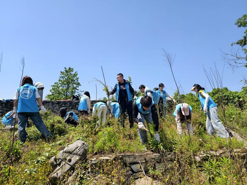 西南大学best365英国体育在线学生在石漠化严重的撂荒地开展劳动2